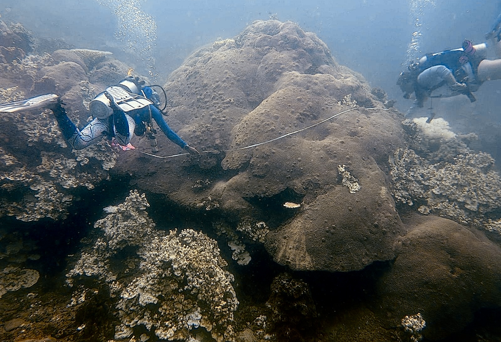 Map the Giants corals marhe center bicocca